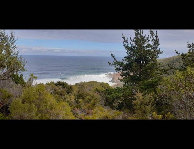 FARM FOR SALE IN HANSMOESKRAAL